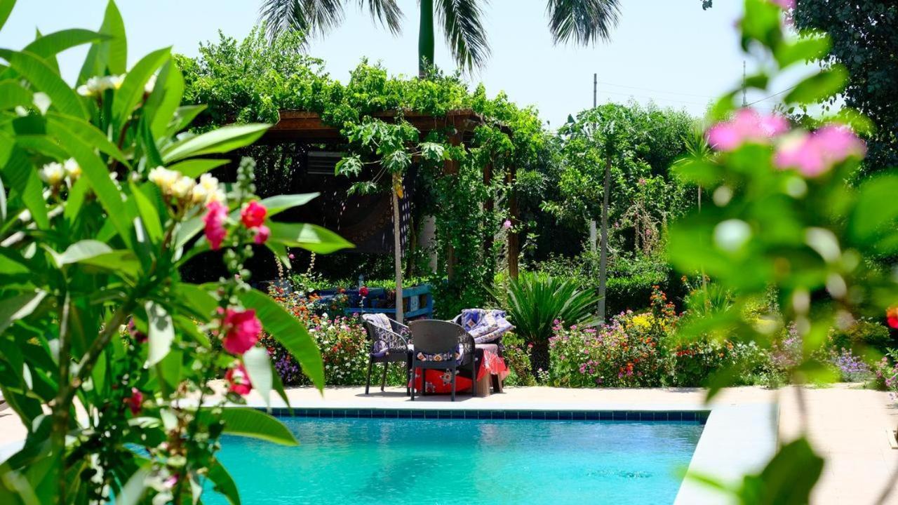 Villa Barba Luxor