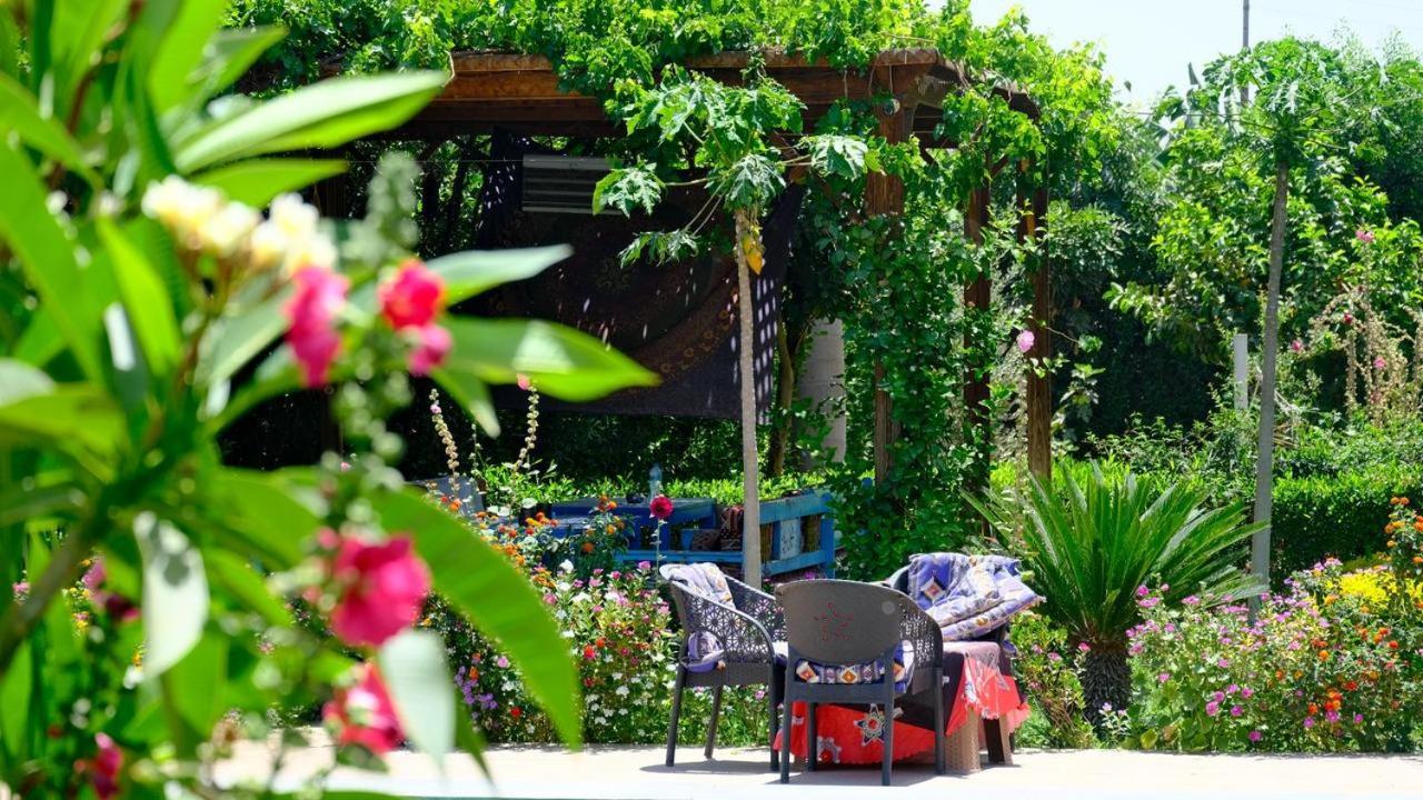 Barba Villa Luxor